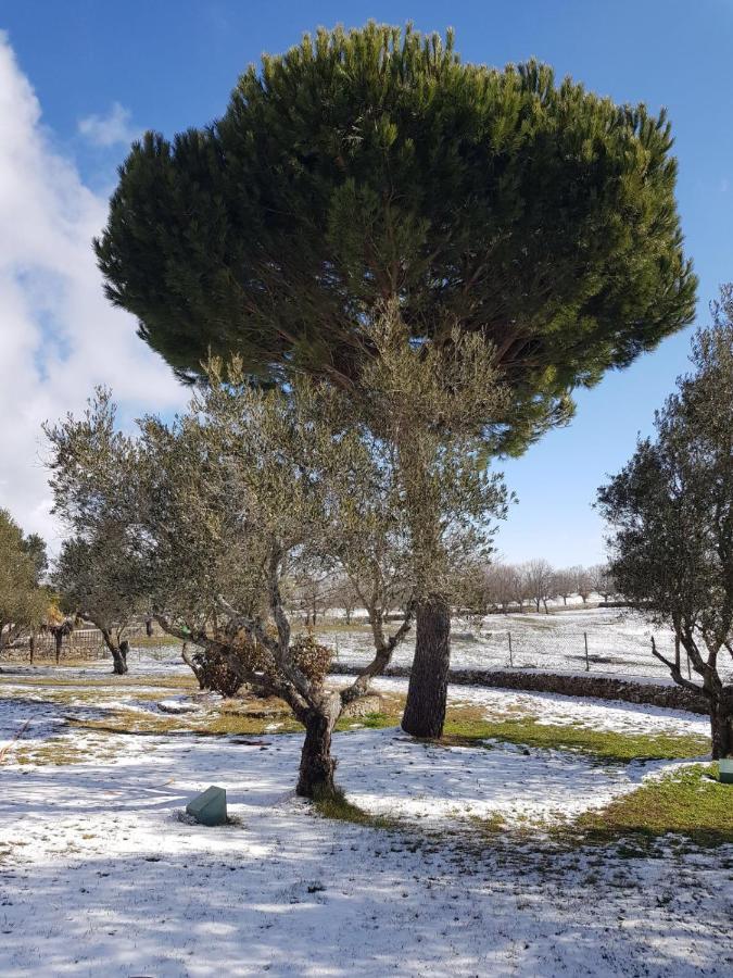 Hotel Casas Del Sevillano El Tornadizo Dış mekan fotoğraf
